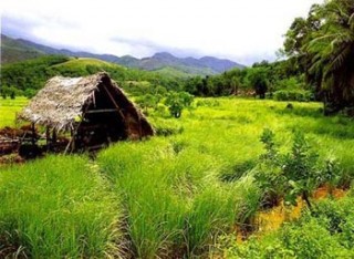 SRI LANKA HOLIDAYS ECO TOURIST VILLAGE