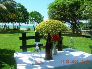 Beachfront garden of kingdom resort 