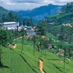 Nuwara Eliya, Central Highlands, Sri Lanka Holidays