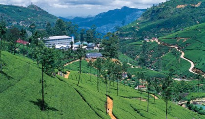 Nuwara Eliya, Sri Lanka Holidays