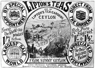 Ceylon Tea from Sri Lanka, the finest Black Tea in the World