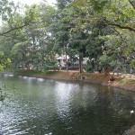 Nachchaduwa Irrigation Sri Lanka