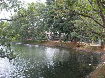 Nachchaduwa ancient reservoir