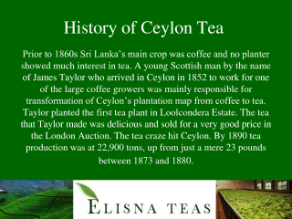 Ceylon Tea From Sri Lanka