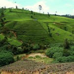 nuwara-eliya, Sri Lanka