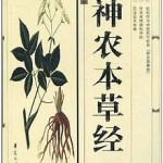 Black tea Shennong_bencao_jing