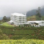 Ceylon Tea Factory Nuwara Eliya, Sri Lanka