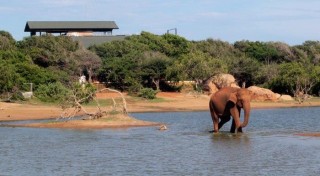 Chaya Wild Yala Kirinda Deep South Sri Lanka Holidays